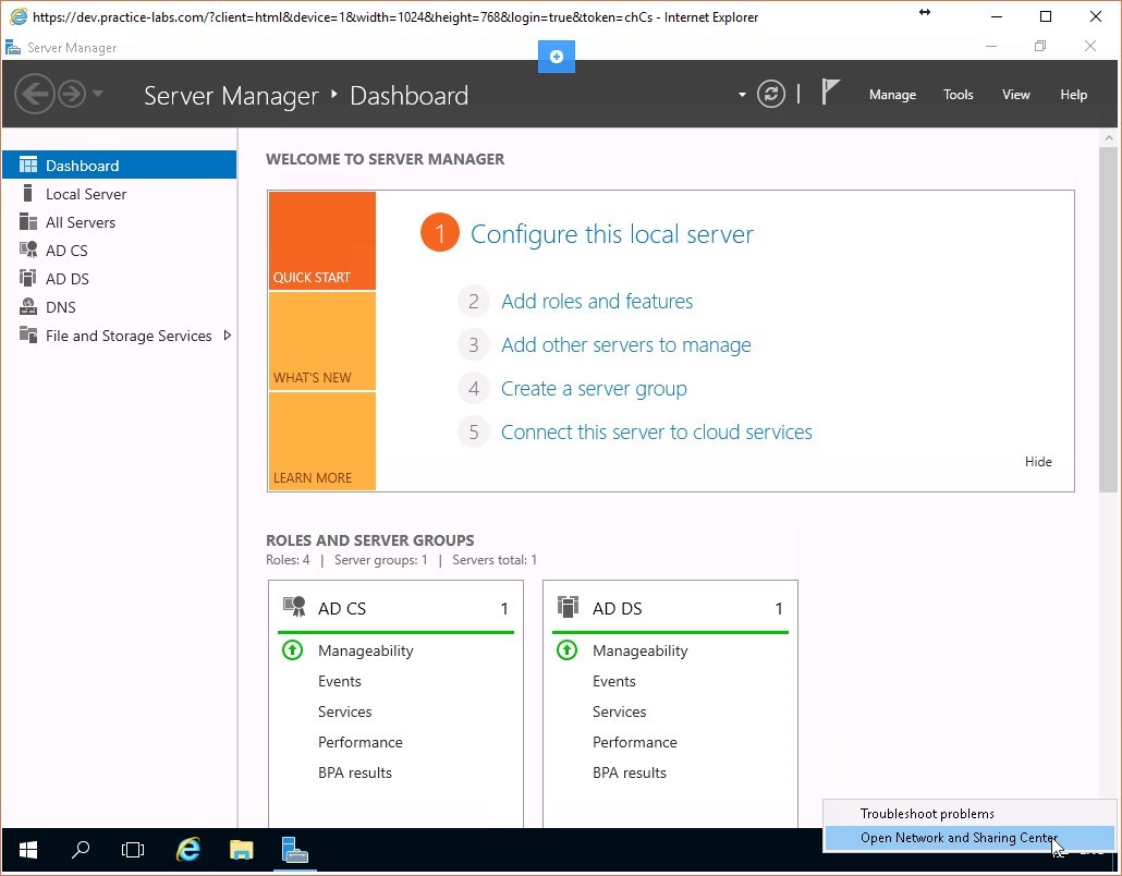 Figure 1.1 Screenshot of the PLABDC01 desktop